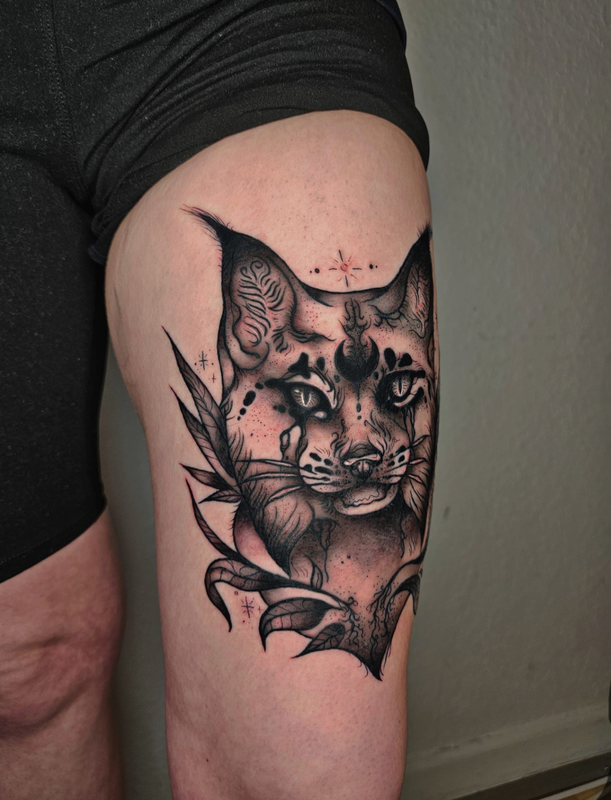 Luchs – Linework von Maya, Atelier Noir nu Köln