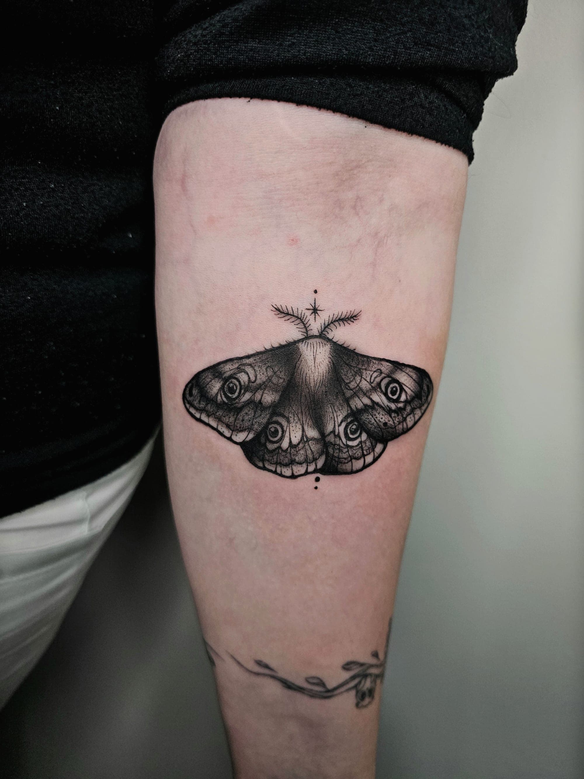 Motte – Linework von Maya, Atelier Noir nu Köln